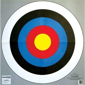 Colorful archery target with concentric circles.