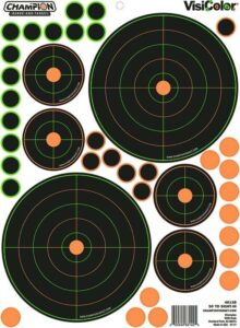 Champion shooting targets with colored bullseyes.