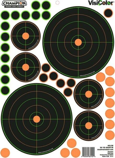 Champion shooting targets with colored bullseyes.