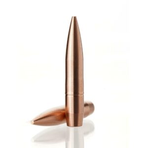 Two copper bullets on a white background.