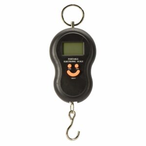 Portable electronic hanging scale with hook