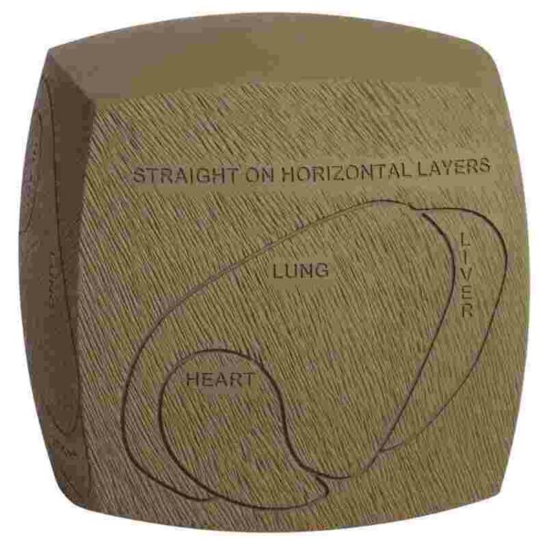 Wood block with lung, liver, heart engravings.