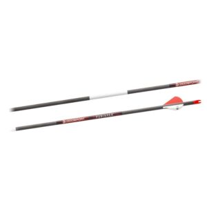 Bloodsport Punisher Arrow 350 Spine 6/pk