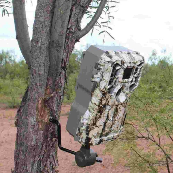 Camouflage trail camera mounted on tree.