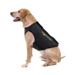 Dog wearing black therapeutic vest, side view.