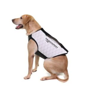 Dog wearing white harness with black trim.