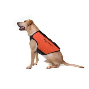 Dog wearing orange protective vest sitting sideways