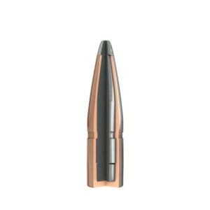 Cross-section of a bullet for detailed view.
