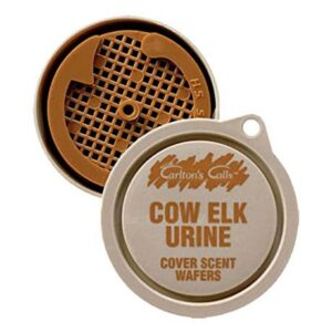 Cow elk urine scent wafers for hunting.