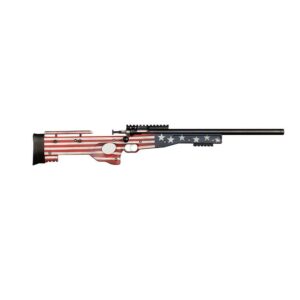 Rifle with American flag design stock