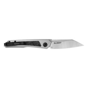 Stainless steel pocket knife with black handle.