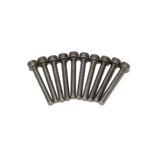 Set of ten metal bolts arranged in line.