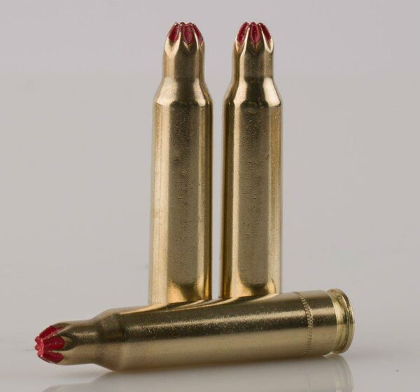 Three brass blank ammunition cartridges