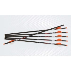 Ravin Premium Arrows (match weight) 500 grain HD .001 6PK