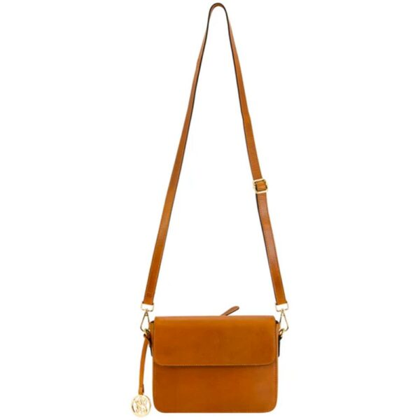 Brown leather crossbody bag with gold accents.