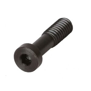 Hex socket cap screw, black, isolated