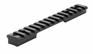 Picatinny rail for mounting accessories