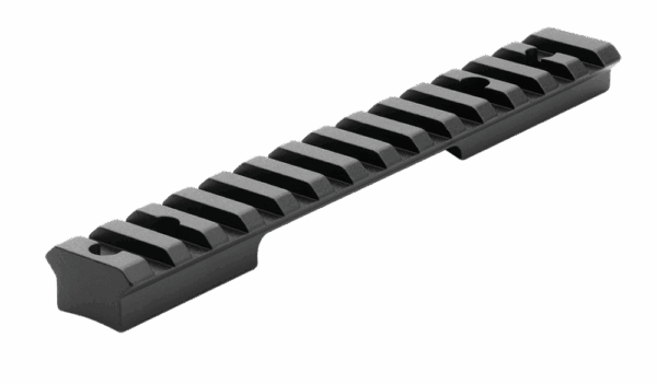 Picatinny rail for mounting accessories