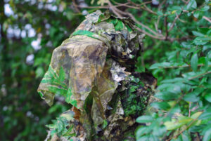 Camouflaged figure blends into leafy background.