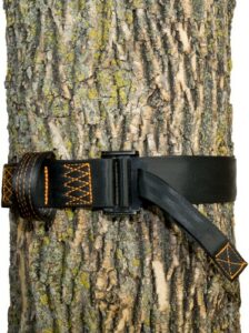 Safety harness strap around a tree trunk