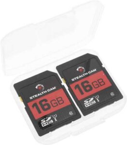 Two 16GB SD cards in a plastic case.
