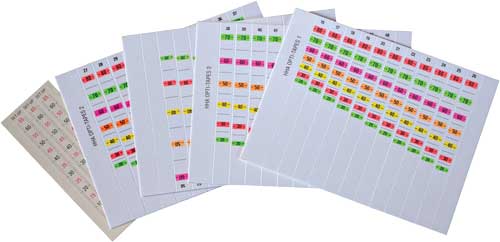 Color-coded music charts for beginners.