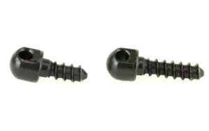 Two black metal screws on white background.