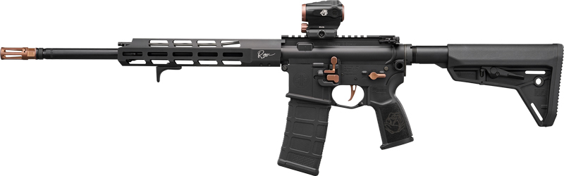 Modern black rifle with scope and adjustable stock.
