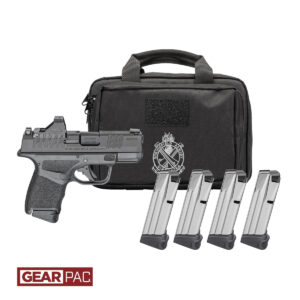 Handgun with magazines and carrying case