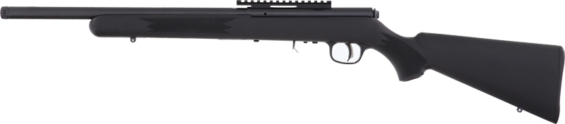 Black shotgun with rail system