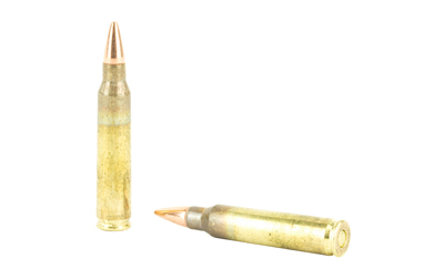 Two rifle bullets isolated on white background.