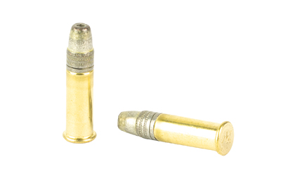 Two brass ammunition bullets on white background.