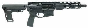 AR-style semi-automatic rifle, black, side view