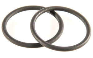 Two black rubber o-rings on white background