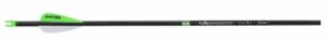Carbon arrow with green and white fletching