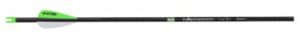 Carbon arrow with green and white fletching.