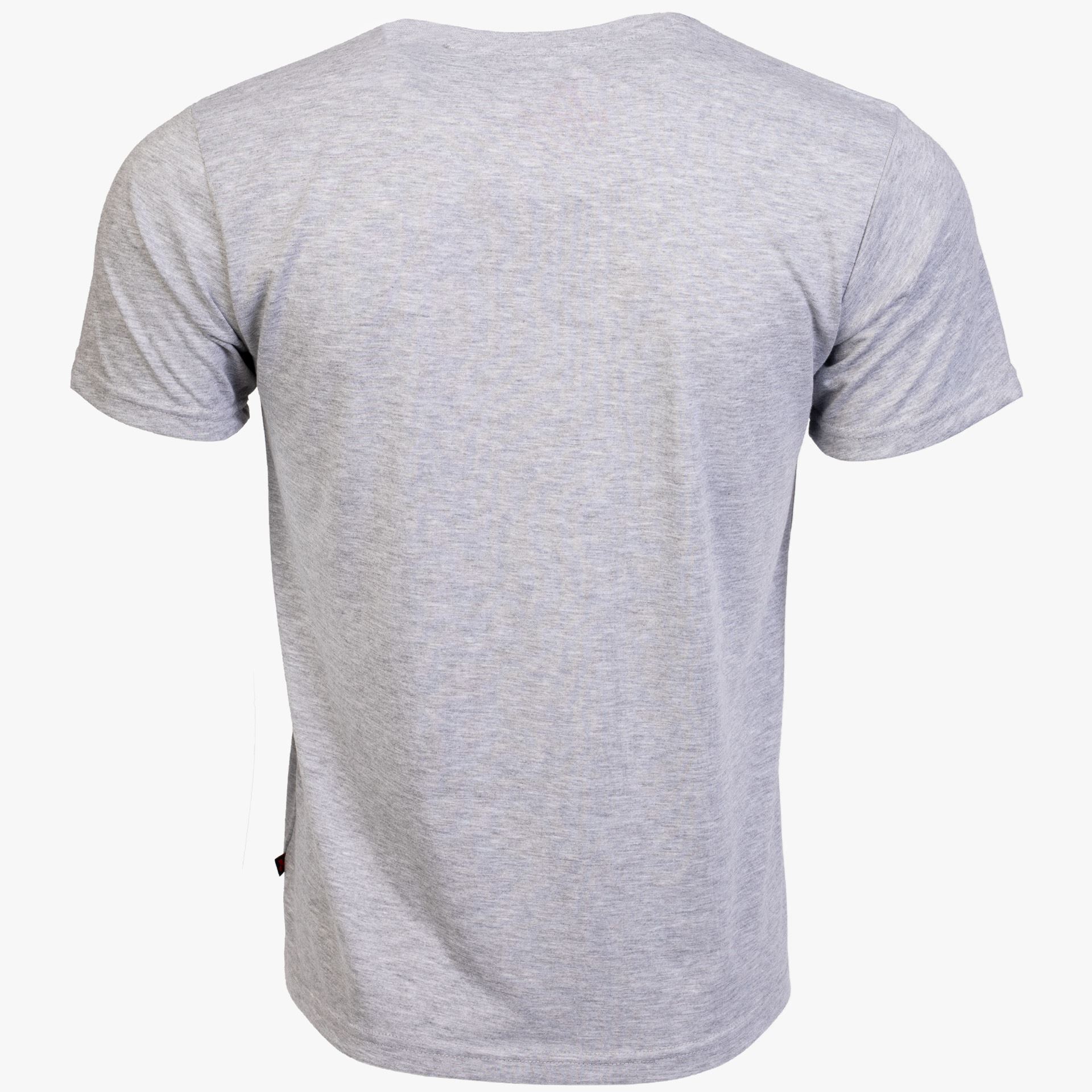 Arsenal Small Gray Cotton Relaxed Fit Classic T-Shirt - Image 3