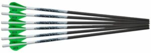 Six carbon arrows with green fletching