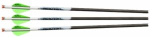Three carbon arrows with green fletching and nocks.