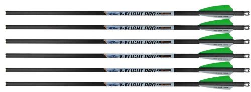Six carbon arrows with green fletching.