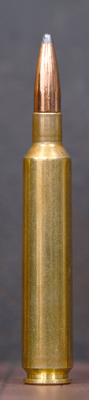 Rifle cartridge standing upright on neutral background