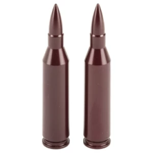 Two rifle cartridges on white background