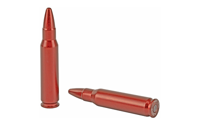 Two copper rifle cartridges on white background