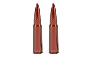Two copper rifle cartridges on white background