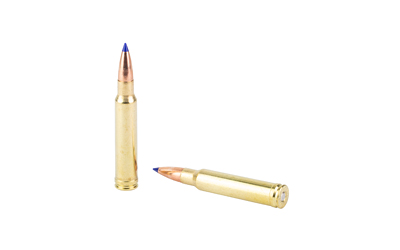 Two rifle cartridges on white background