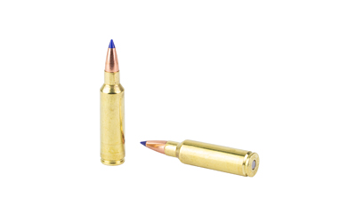 Two brass rifle cartridges on white background