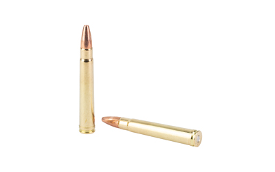 Two rifle cartridges on white background