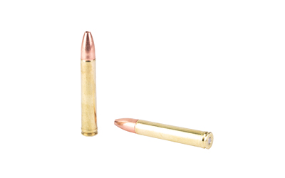 Two rifle cartridges on white background
