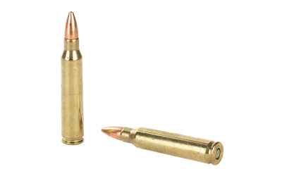 Two brass rifle cartridges on white background