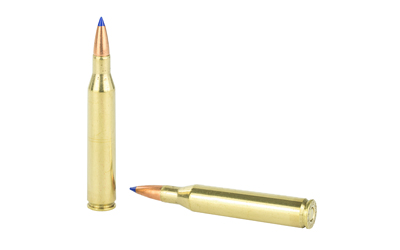 Two brass rifle cartridges on white background